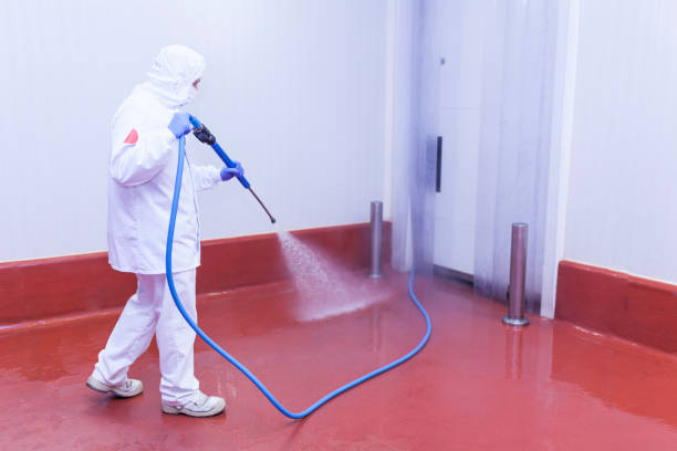 Best Gas Station Cleaning  in North Weeki Wachee, FL